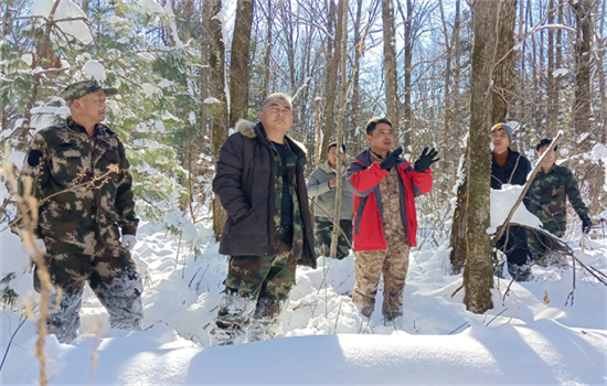 1700721140828143.jpg 7f1f7be48ca920ef5355d7a9b028ce2.jpg