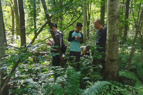 綠化苗木 (1)_副本.jpg