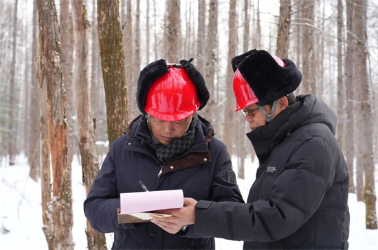 1739760826133447.jpg 640 (12).jpg