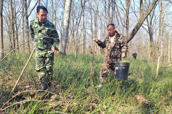 大東林場(chǎng)黨支部開展“科學(xué)造林育林 實(shí)現(xiàn)永續(xù)利用”主題黨日活動(dòng)（2）.jpg