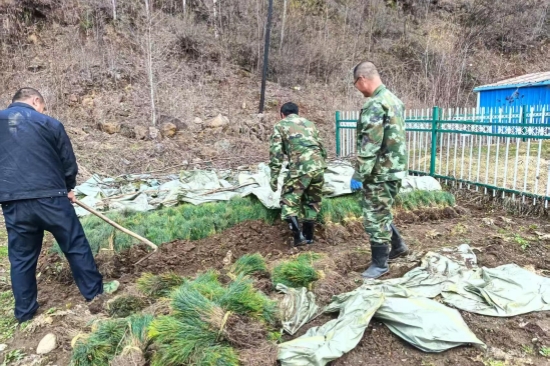 1746516066766569.jpg 踐行綠色使命 書寫生態(tài)答卷森林資源管護大隊扎實推進春季營林生產(chǎn)工作(1).jpg