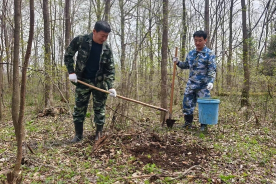 營(yíng)林處：黨旗引領(lǐng)添新綠 植樹(shù)造林踐初心（2）.jpg