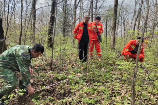 1746585924865877.jpg 大東林場多措并舉 全力守護(hù)生態(tài)綠色畫卷(1).jpg