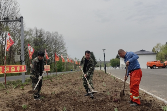 大東林場(chǎng)開(kāi)展“共建綠色家園”環(huán)境美化行動(dòng)（1）.jpg