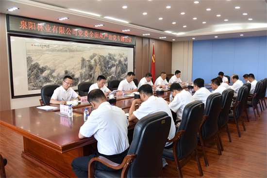 1760062111645463.jpg 泉林公司黨委召開2025年全面從嚴(yán)治黨專題會(huì)議(2).jpg